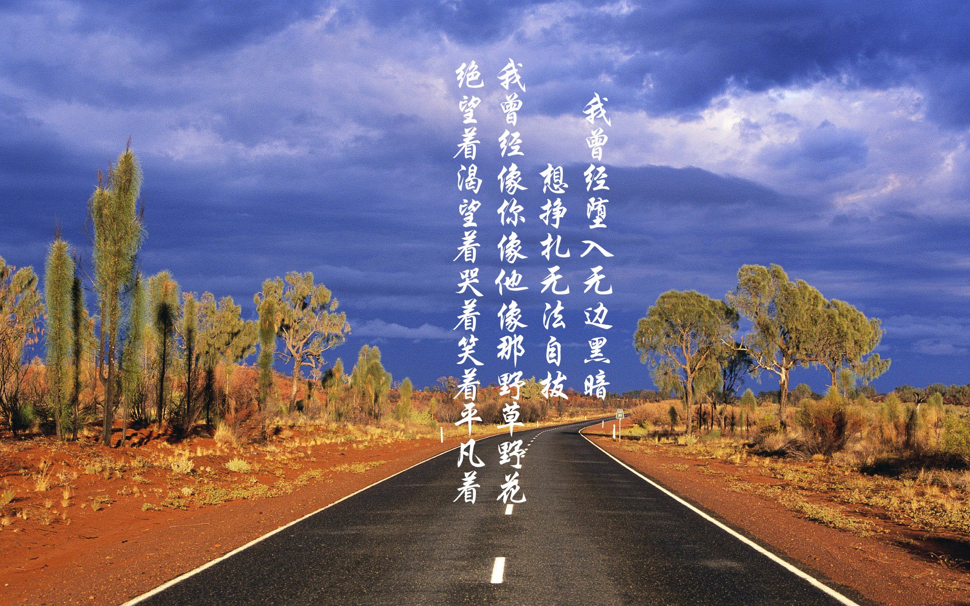未来之路：电动化与自动驾驶在WRC的应用前景，自动驾驶电动汽车测试与评价技术
