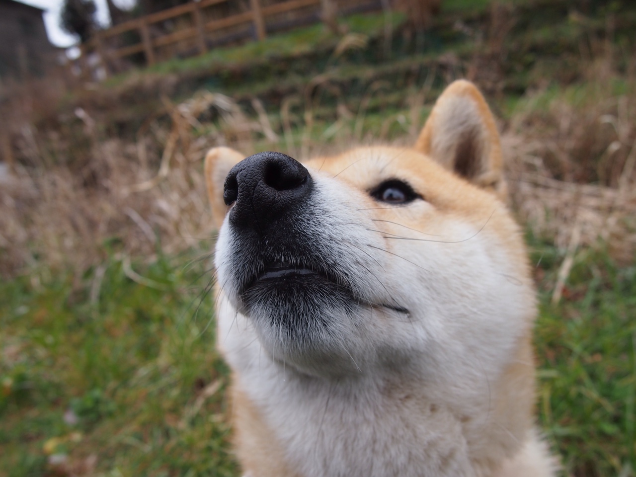 “运动舞蹈:高能开场,金牛区城北体育馆见证精彩不断!”
