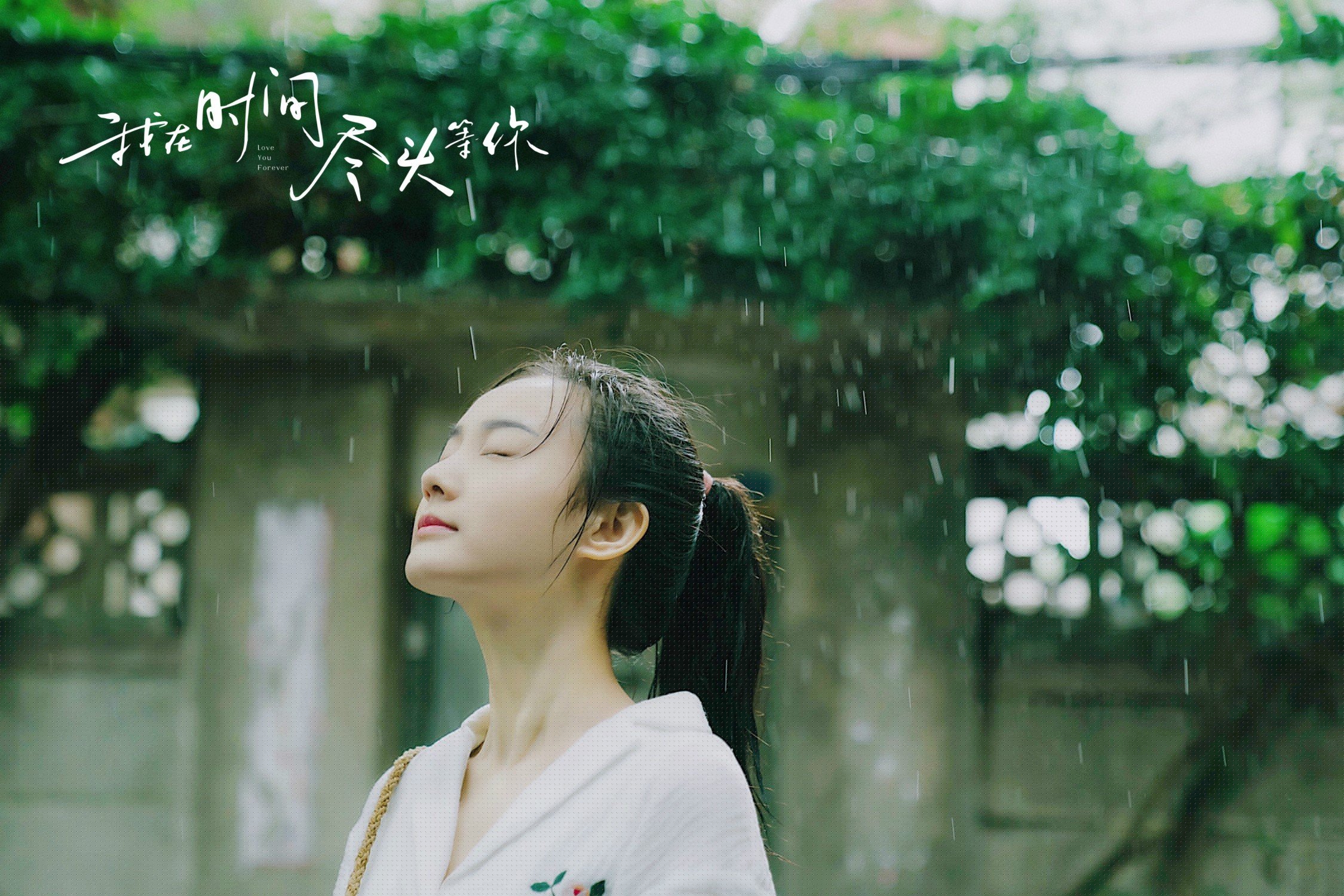 “运动舞蹈:高能开场,金牛区城北体育馆见证精彩不断!”