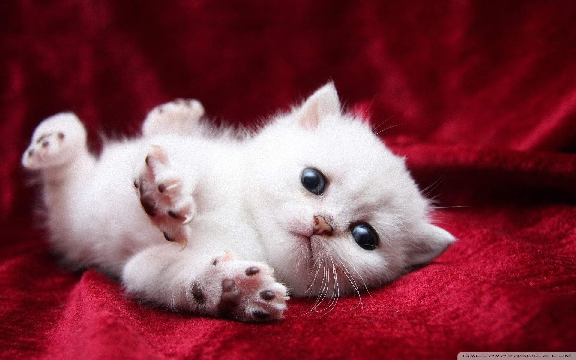 中国女篮在国际赛场展现技术细节成熟,女篮 中国