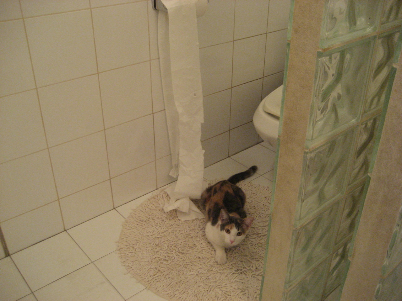 中国女足复仇亚洲杯 热血故事再现绿茵场,请问中国女足